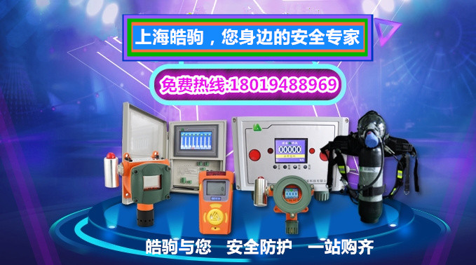 氣體報(bào)警器