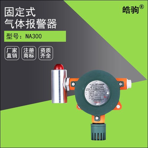 NA300氣體報(bào)警探測(cè)器