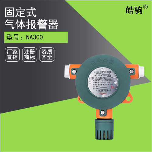 NA300氣體報(bào)警探測(cè)器